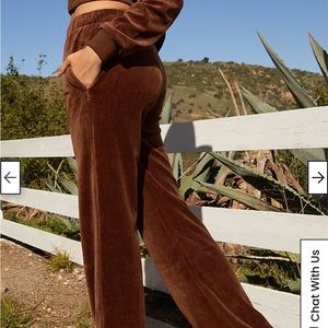 John Galt NWT Brown Velour Anastasia Pant